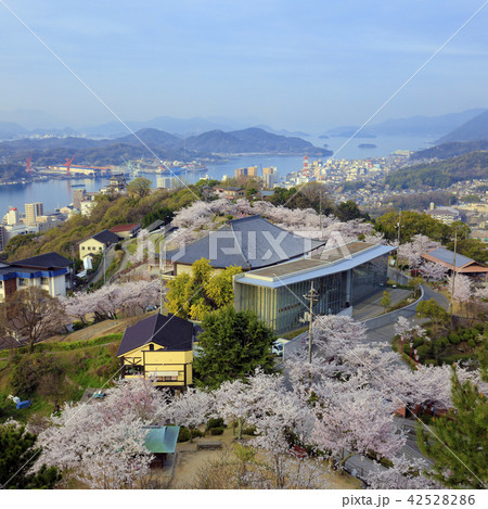 千光寺公園（ 千光寺公園展望台から ） 42528286