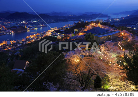 尾道 夜桜（ 千光寺公園展望台から ） 42528289
