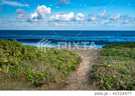 海の浜辺からの景色の写真素材