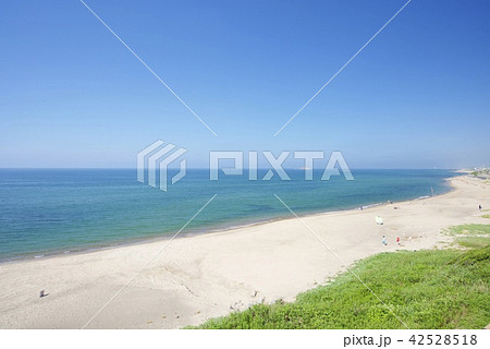 鳥取県の白兎海岸 鳥取県の白兎海岸 42528518