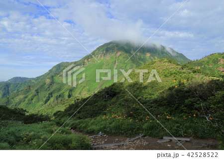苗場山の祓川コースから望む風景 苗場山の祓川コースから望む風景 42528522