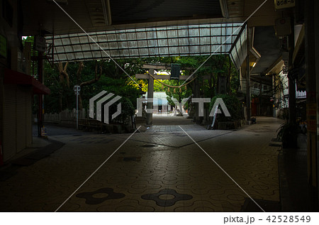 早朝の桜塚商店街と原田神社 早朝の桜塚商店街と原田神社 42528549