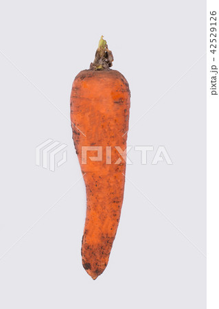 One dirty carrot. One dirty carrot. 42529126