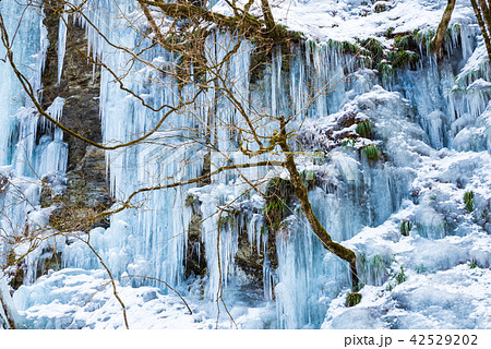 三十槌の氷柱 みそつちのつらら （埼玉県秩父市大滝） 2018年2月 42529202