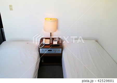 ホテルのツインルーム 42529601