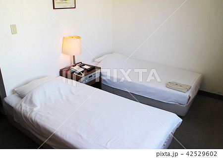 ホテルのツインルーム 42529602