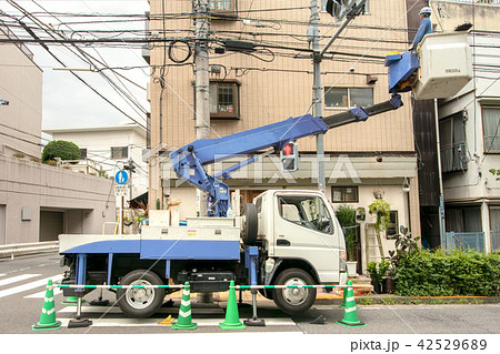 電線点検作業 電線点検作業 42529689