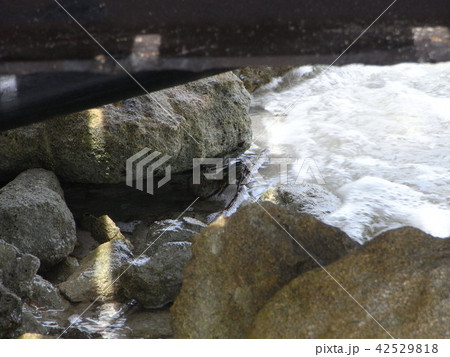 ニューカニドニア 42529818