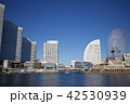 横浜みなとみらい21 42530939