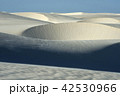 Lencois Maranhenses National Park, Barreirinhas 42530966