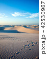 Lencois Maranhenses National Park, Barreirinhas 42530967
