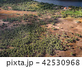View from an airplane to a landing of cashew  42530968