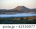 Idyllic landscape of Cuchilla del Ombu, hills 42530977