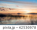 Idyllic Willow Lake (Lagoon of the Willow) 42530978