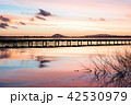 Idyllic Willow Lake (Lagoon of the Willow) 42530979
