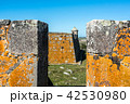 San Miguel fort in Rocha province, near brasilia 42530980