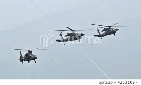 陸上自衛隊のヘリコプターの編隊飛行（向かって左OH-1観測ヘリ、あとの2機はUH-60多用途ヘリ） 42531037
