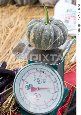カボチャ かぼちゃ 南瓜 42531678