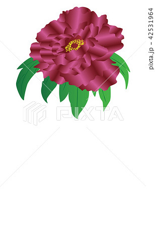 都道府県の花島根ボタンのイラスト素材