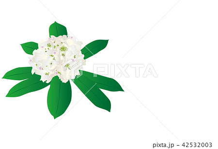 都道府県の花福島ネモトシャクナゲのイラスト素材