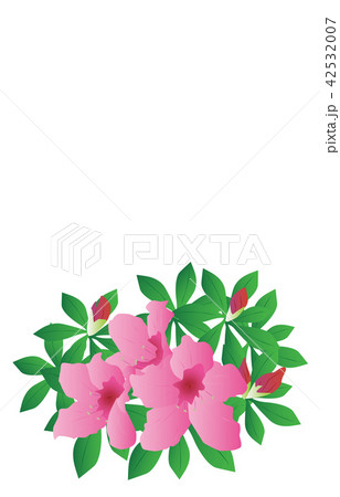 都道府県の花長崎ウンゼンツツジ 都道府県の花長崎ウンゼンツツジ 42532007
