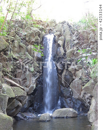 成田山公園の雄飛の滝 42533144