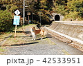 坪尻駅と犬 42533951