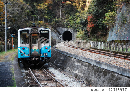 坪尻駅の普通列車 42533957