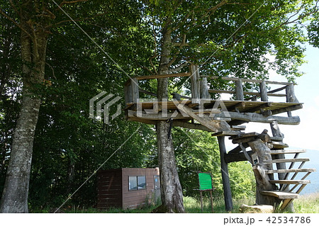 北尾根高原:ツリーデッキ 北安曇郡白馬村 北尾根高原:ツリーデッキ 北安曇郡白馬村 42534786