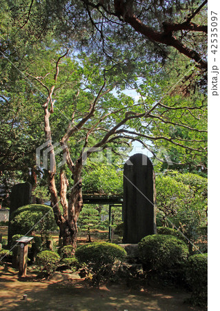 三宝寺 三宝寺 42535097