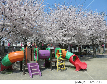 桜が咲く豊島区の染井よしの桜の里公園 42535128