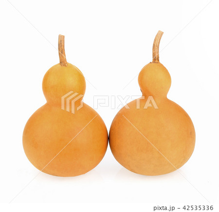 Calabash dry on white background 42535336