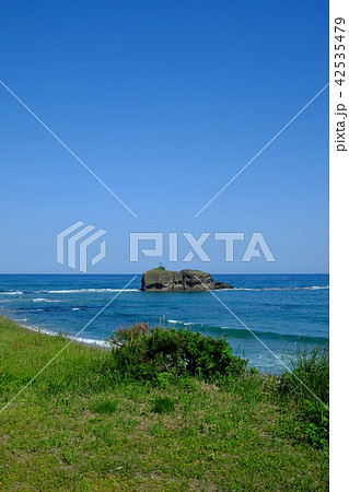 美しい海岸の風景・白兎海岸 42535479