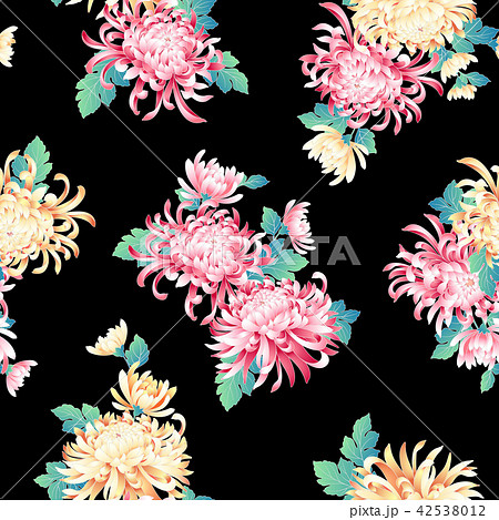 和調　キク柄 42538012