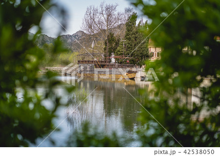 Old abandoned wooden ship in Virpazar 42538050