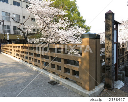 桜が咲く石神井川の板橋 42538447
