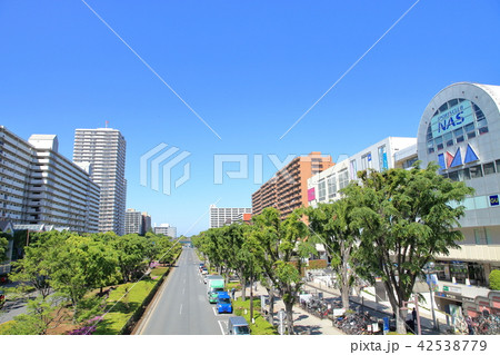 光が丘団地　練馬区 42538779