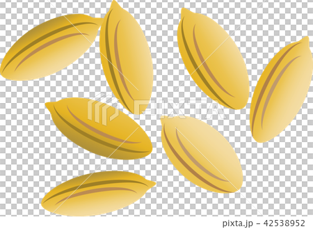 Chaff - Stock Illustration [42538952] - PIXTA