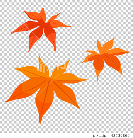 綺麗な赤やオレンジ色に色づくもみじの葉のイラストのイラスト素材