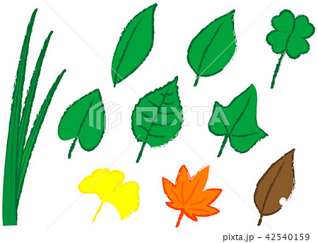 色々な葉っぱのイラスト素材