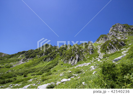 中央アルプス・千畳敷カール 中央アルプス・千畳敷カール 42540236