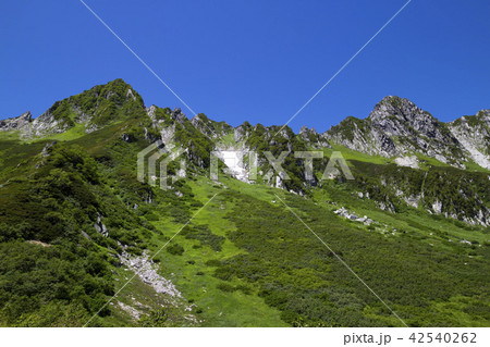 中央アルプス・千畳敷カール 42540262