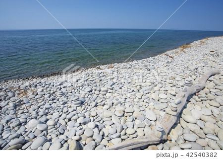 鳥取県琴浦町の鳴り石の浜(花見海岸) 鳥取県琴浦町の鳴り石の浜(花見海岸) 42540382
