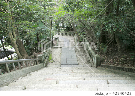 月照寺の西参道 月照寺の西参道 42540422