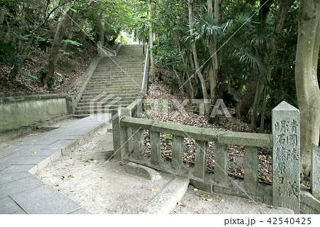 月照寺の西参道 月照寺の西参道 42540425