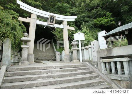 月照寺の西参道 月照寺の西参道 42540427