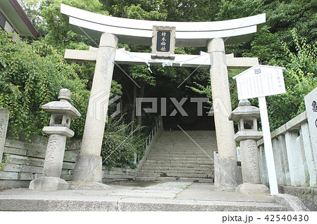 亀の水 亀の水 42540430