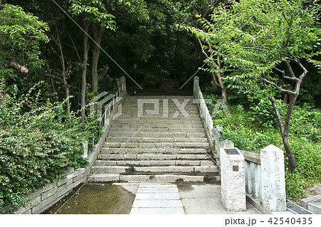 月照寺の西参道 月照寺の西参道 42540435