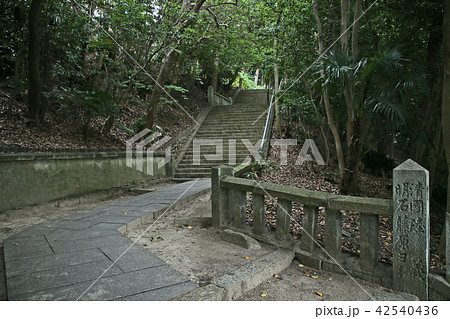 月照寺の西参道 月照寺の西参道 42540436