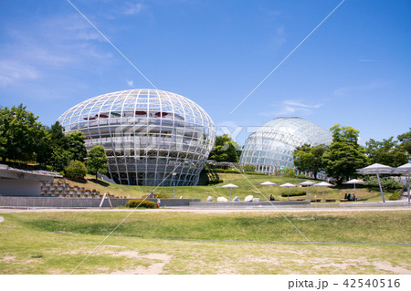 山梨県 笛吹川フルーツ公園 山梨県 笛吹川フルーツ公園 42540516